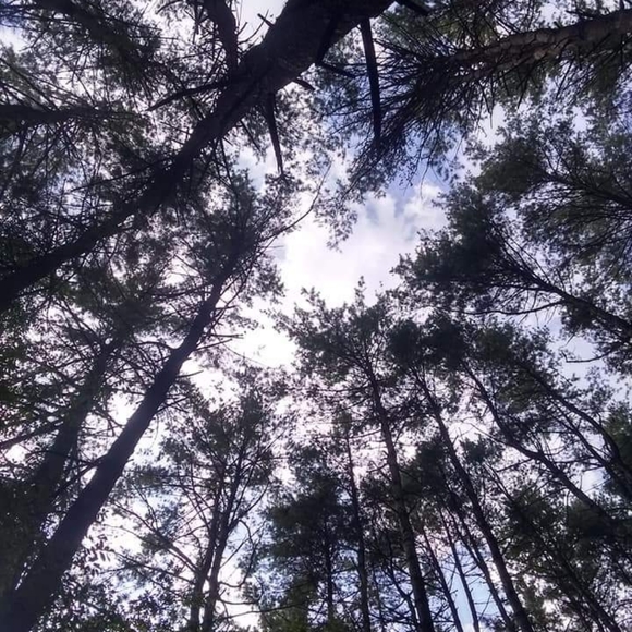 🌸WOMENS APPAREL🌸 - Picture 6 of 7